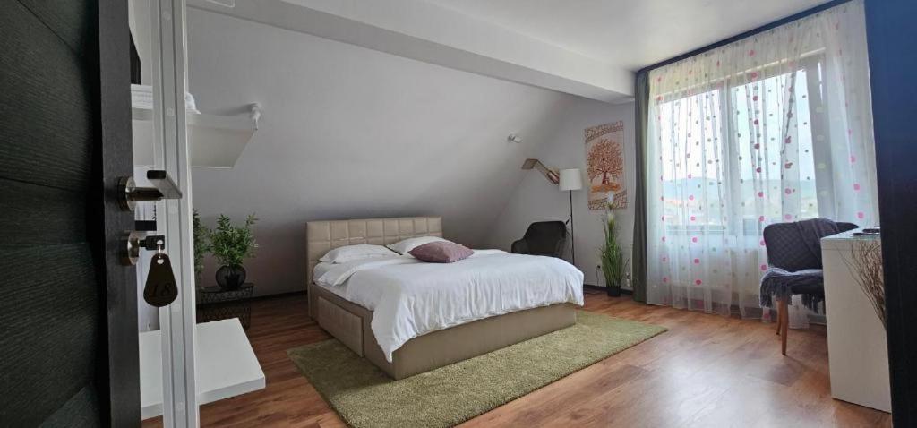 Pensiunea Relax คูร์ตา เด อาร์เจช ภายนอก รูปภาพ